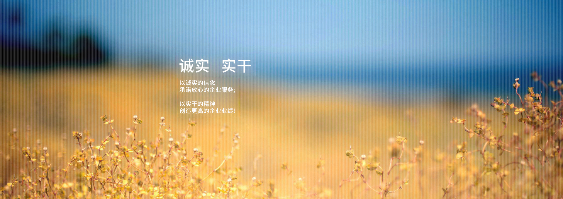 起航-實干 起航-實干